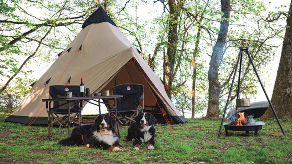 Robens Settler Chair - Image 2